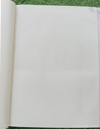 Home and office Wallpaper for walls (RN 09)