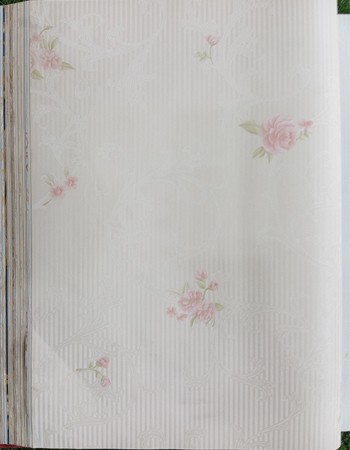 Home and office Wallpaper for walls (HR010502)