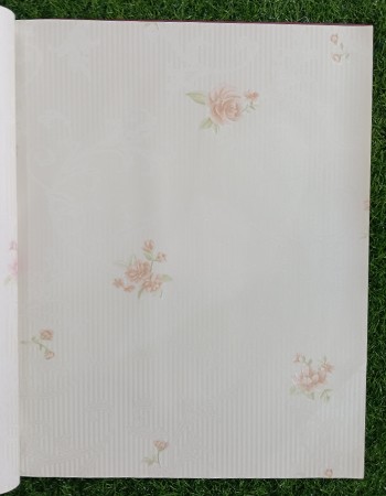 Home and office Wallpaper for walls ( HR 010507)