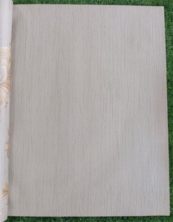 Home and office Wallpaper for walls (HR 011105)