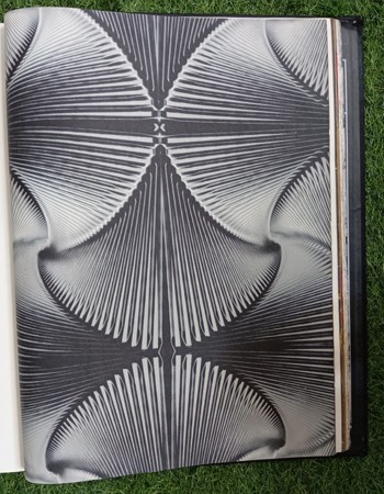 Home and office Wallpaper for walls ( MT 74 )