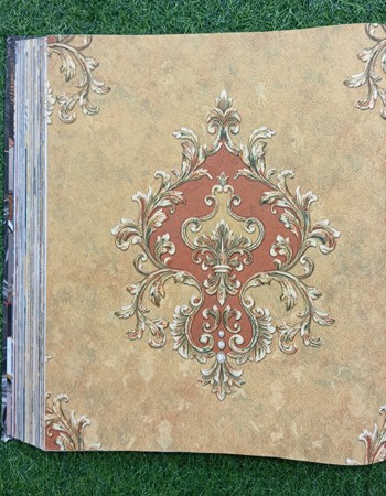 Avatar Home and Office Wallpaper (77,1)