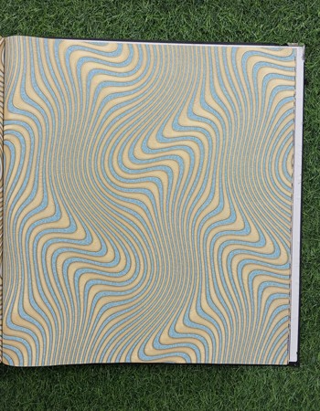 Avatar Home and Office Wallpaper (AVT 72)