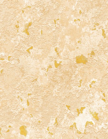 DISCOVERY Affordable wallpapers without compromising on style