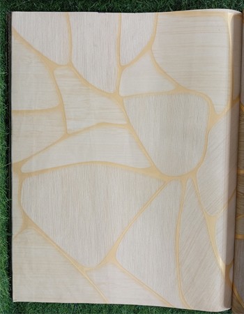 MODERN TIMES Affordable wallpapers without compromising on style