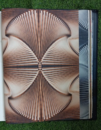 MODERN TIMES Affordable wallpapers without compromising on style