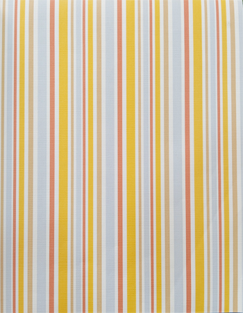Strip Classic Home and Office Wallpaper SS8T015