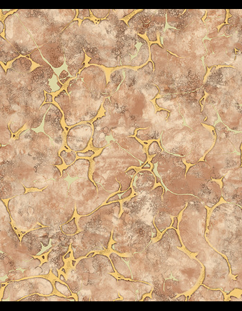 DISCOVERY Affordable wallpapers without compromising on style