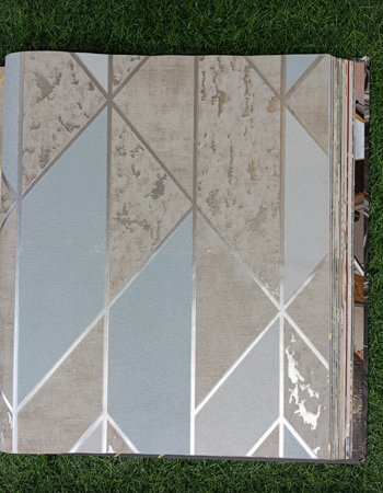 Avatar Home and Office Wallpaper (AVT 27)