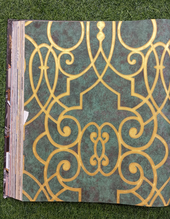 Avatar Home and Office Wallpaper (AVT 59)