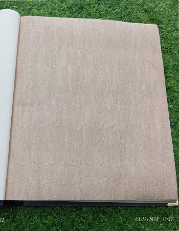 Home and office Wallpaper for walls (RN - 02)