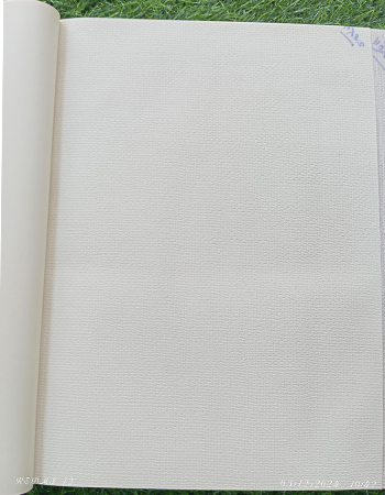 Home and office Wallpaper for walls (RN 09)