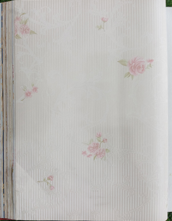 Home and office Wallpaper for walls (HR010502)