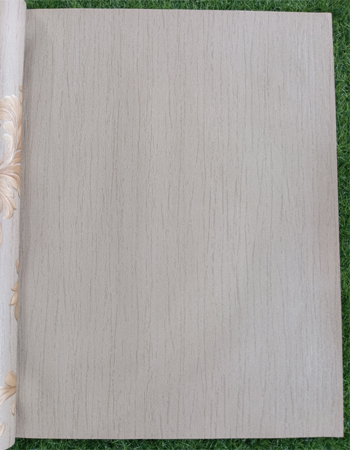 Home and office Wallpaper for walls (HR 011105)