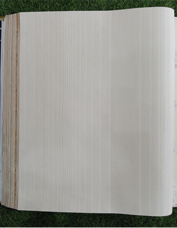 Home and office Wallpaper for walls (FC 370603)