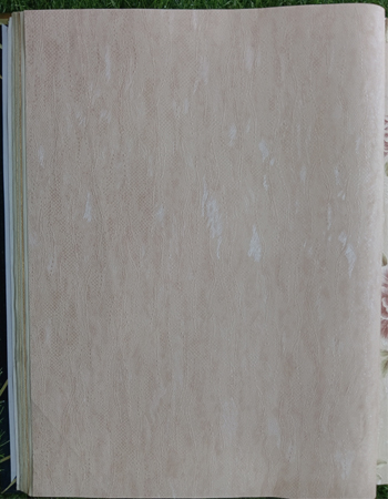 Home and office Wallpaper for walls ( 960303)