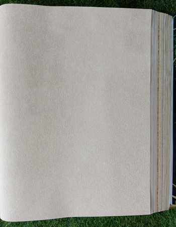 Home and office Wallpaper for walls ( YY 9205609)