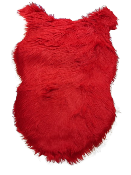 Shag Rug  Add a pop of color to your home decor