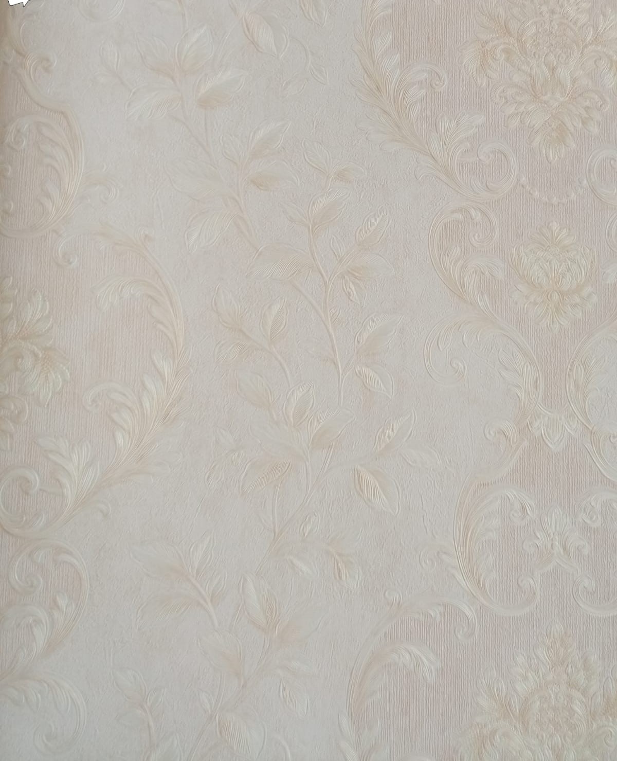 WALL FASHION Home and Office Wallpaper